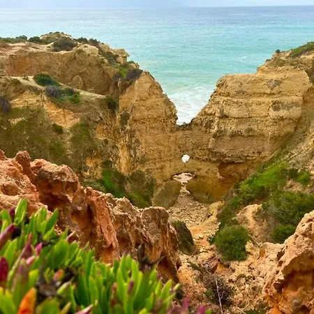 Marina Zen - Orada, アパート *