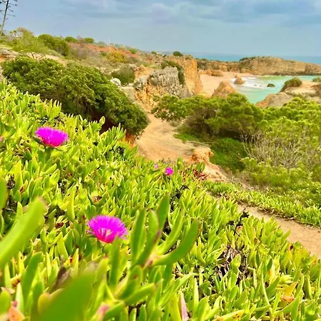 Marina Zen - Orada, アパート