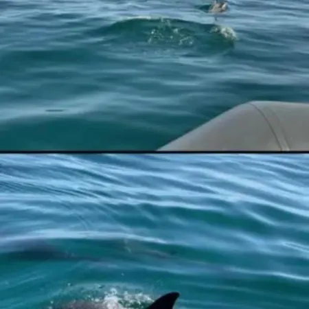 アパート Marina Zen - Orada, アルブフェイラ