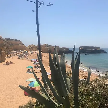 Appartement Marina Zen - Orada,